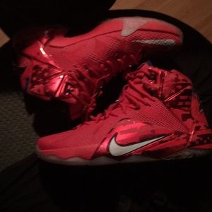 LeBron 12